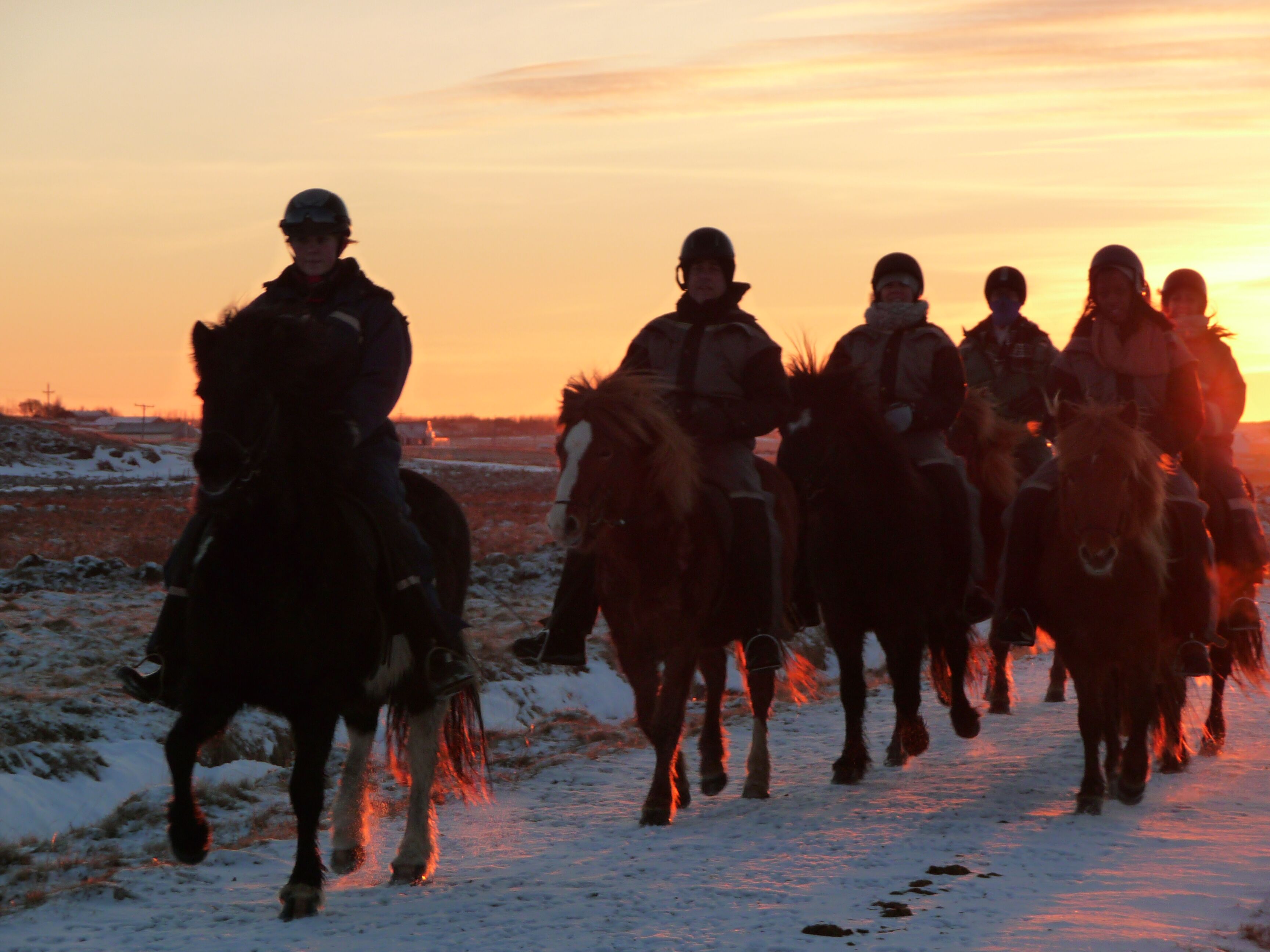 Riding Holiday Northern Lights